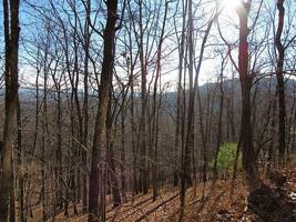 1264 Grouse Gap Drive