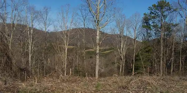 Cove Road