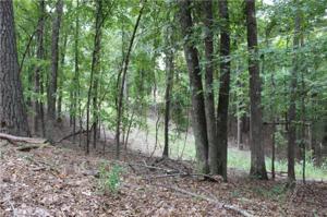 43 Wilderness Camp Road