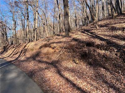 3381 Bella Vista Trail