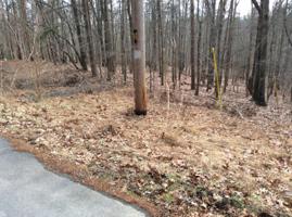 141 Delaney Pine Road