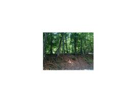 8132 Wilderness Parkway Lot 8132