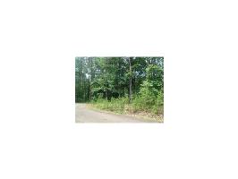 3289 Wood Poppy View Lot 3289