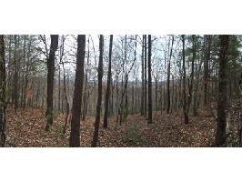 1698 Shade Tree Drive Lot 1698