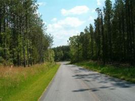 WhiteTail Drive