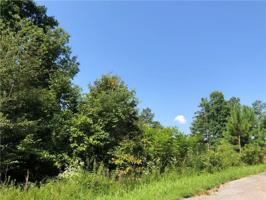 50 Chitwood Cove Road SE