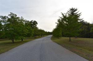 17 Pointe Sidney Drive