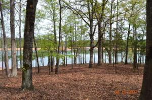 2 Pointe Sidney Drive