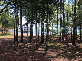 Lot C Lightwood Rd