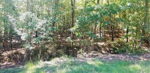 Lot 78 Winding River Road