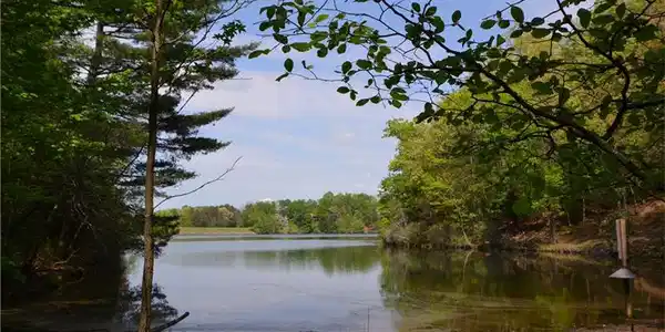 0 Tamarack Drive Lot 2340+