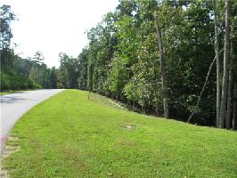 63 Somerset Lane Lot 120