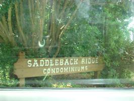 902 PINE OAK Trail