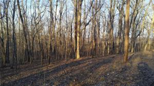 Lot 222 Lot 3 Trout Farm Road