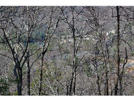 2584 Summit Circle Lot 2584