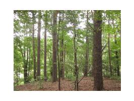 629 Blue Pine Court Lot 629