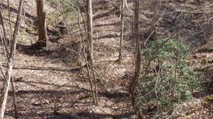 Lot 83,84,98 n/a Marie Drive