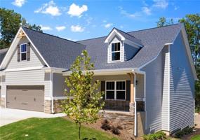 117 Delaney Pine Drive
