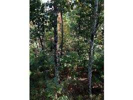 1630 CARMON Way Lot 1630