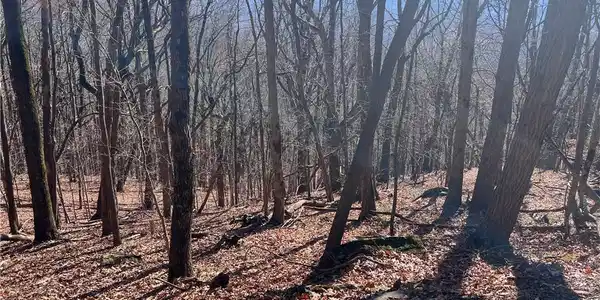 1816 Echo Ridge