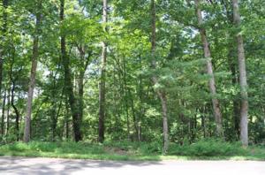804 Isuba Trail