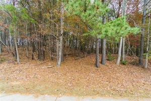 142 Red Cloud Drive