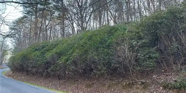 LT429 Tamarack Drive