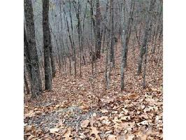 804 NETTLE Lot 804
