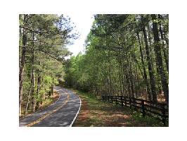 231 Wilderness Camp Road SE