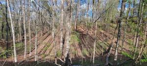 415 Wilderness Camp Road