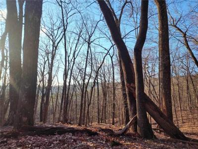 1225-7 Oglethorpe Mtn Rd Road