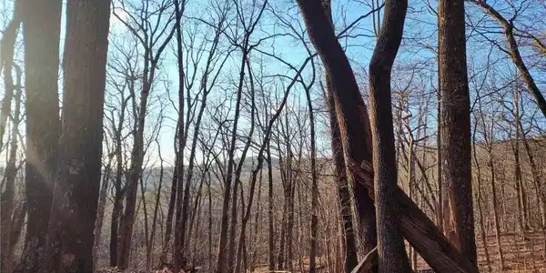 1225-7 Oglethorpe Mtn Rd Road
