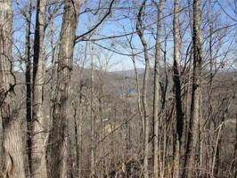 8258 Cox Mountain View Lot 8258