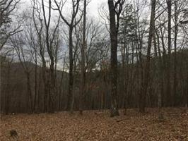 210 Sharp Top Mountain Trail