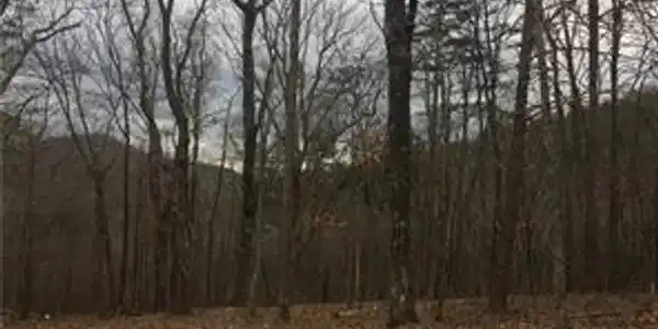 210 Sharp Top Mountain Trail