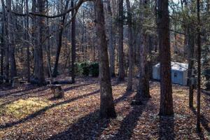 267 OAKWOOD