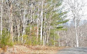 18 18 Poplar Ridge