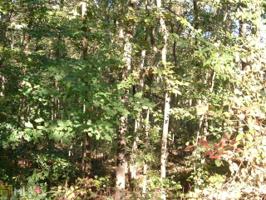 #221  Tugaloo Bay Subdivision Lot 221