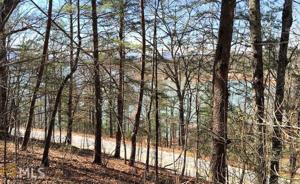 Walker Point Rd