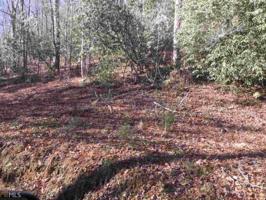 Lot MAP 1,B5 Soapstone Creek Cir