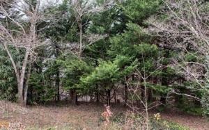 Lot 52B Beech Cv