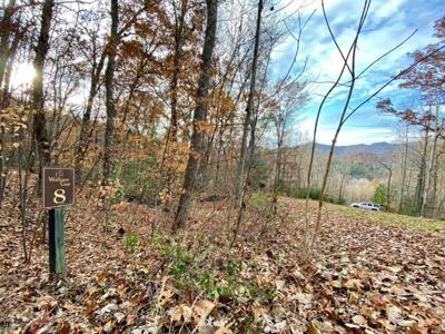 0 Wolfpen Gap Court