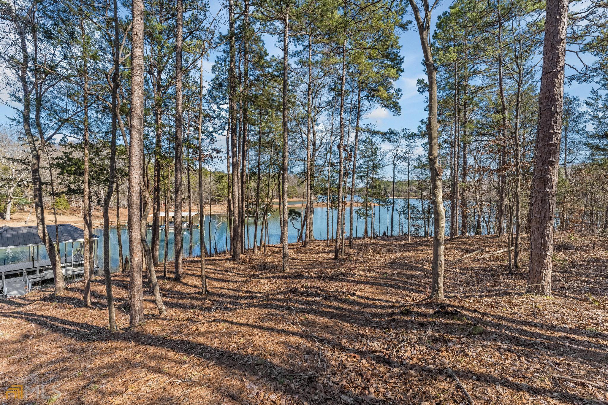 0 Seraph Pointe Road, Lavonia, GA lhrmls01493682