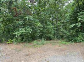 76 Laketop Drive