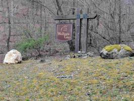 31 & 32 Wolfpen Gap