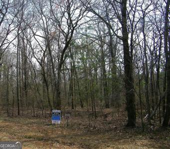 Lot 28 Benjamin Brown Court, Elberton GA 30635