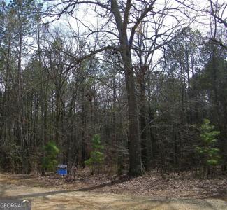 Lot 29 Benjamin Brown Court, Elberton GA 30635