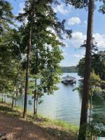 236 Bluegill Drive