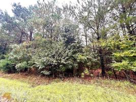 2342 Bobby Brown State Park Road