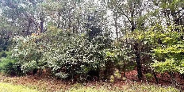 2342 Bobby Brown State Park Road
